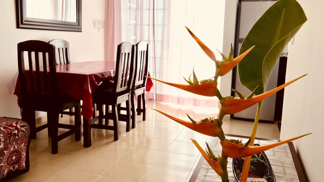 Photo of Others in Villas Tulum