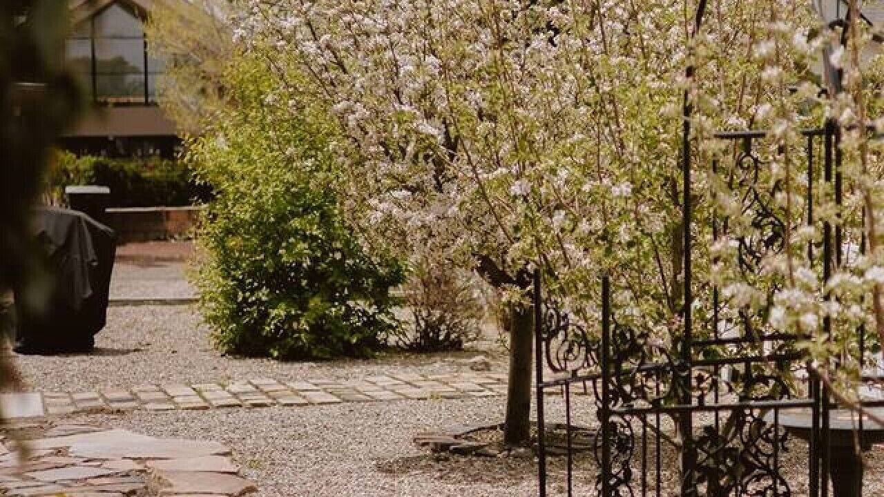 Photo of Outdoor in Williams