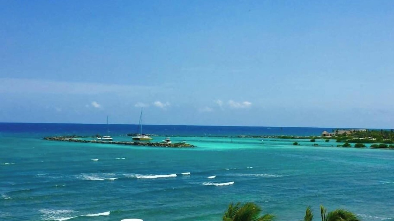 Photo of Others in Puerto Aventuras