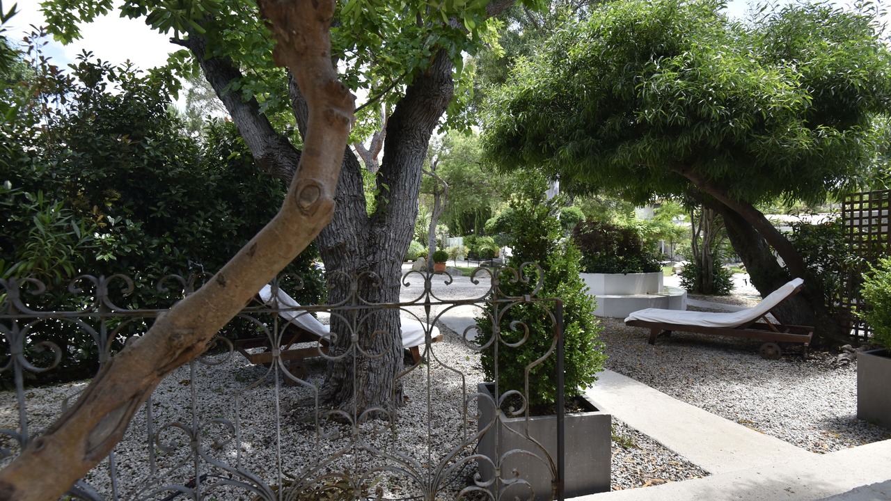 Photo of Outdoor in Calvi