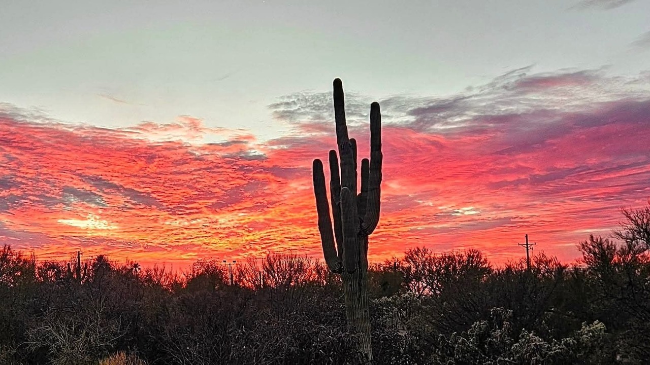 Photo of Others in Tanque Verde