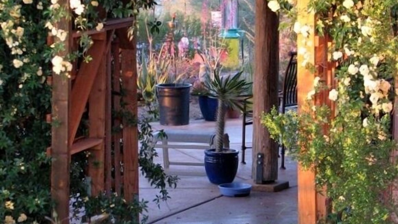 Photo of Outdoor in Tucson