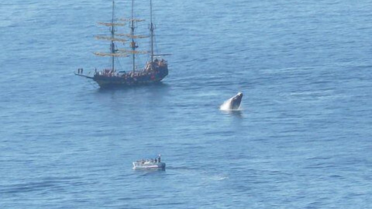 Photo of Others in Pedregal