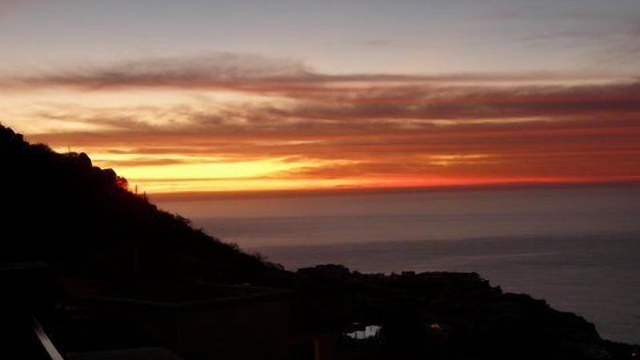 Photo of Others in Pedregal