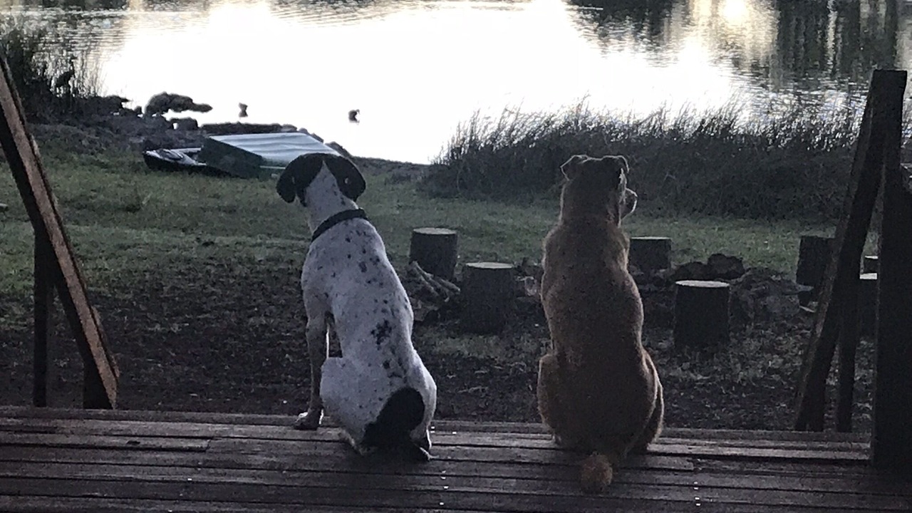 Photo of Others in Pinetop-Lakeside