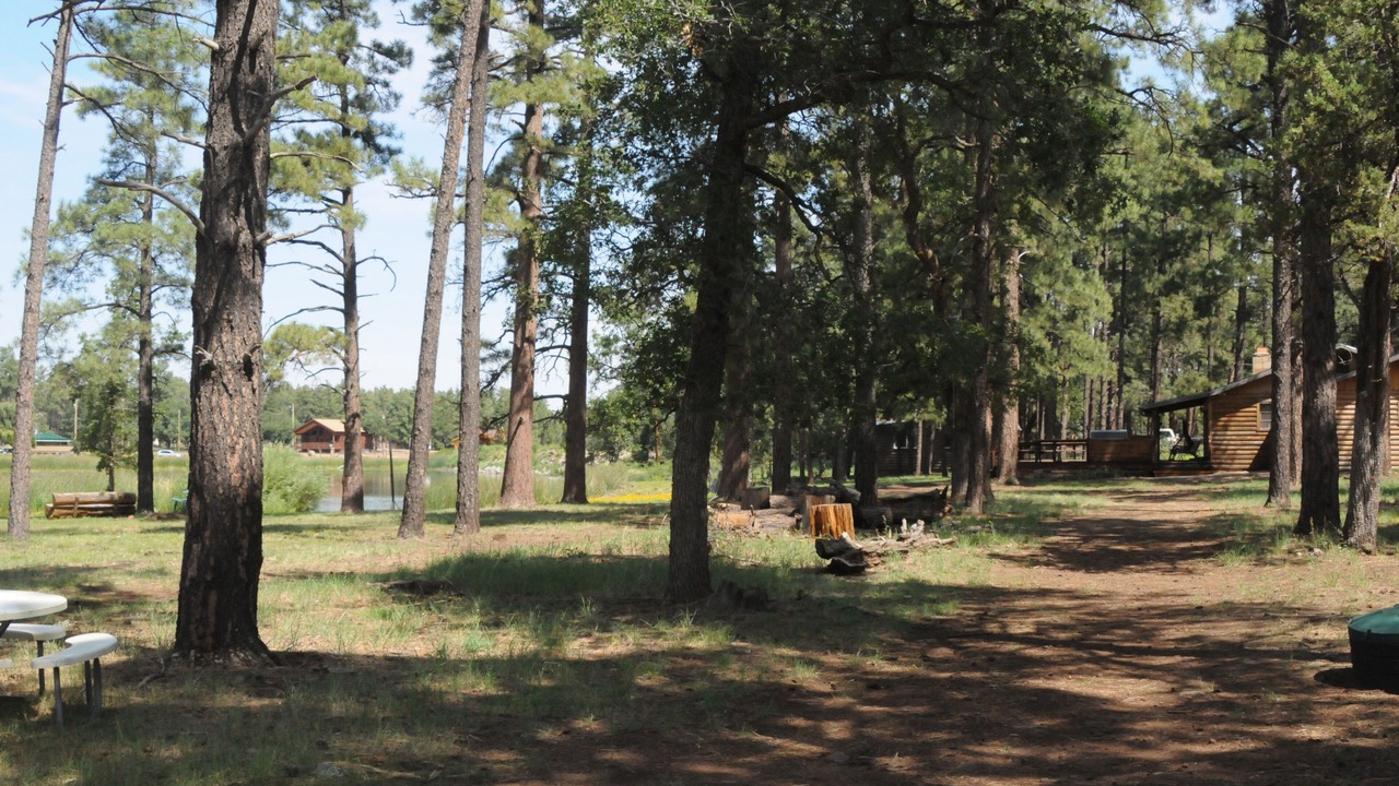 Photo of Outdoor in Pinetop-Lakeside