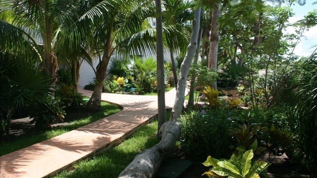 Photo of Others in Puerto Morelos
