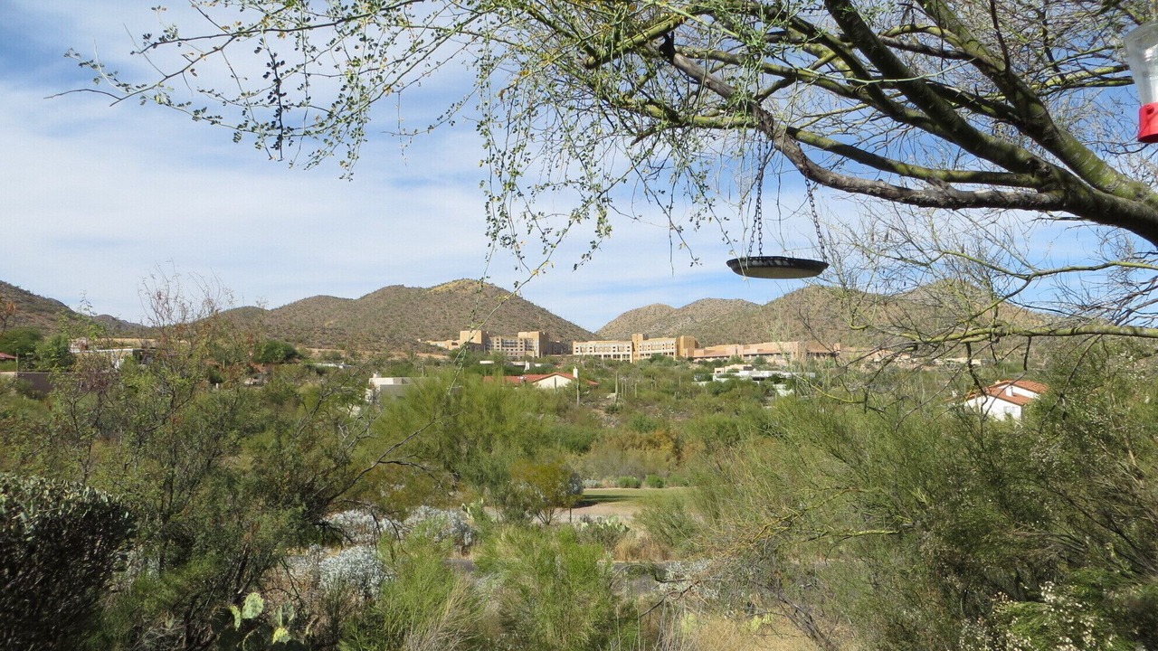 Photo of Outdoor in Starr Pass