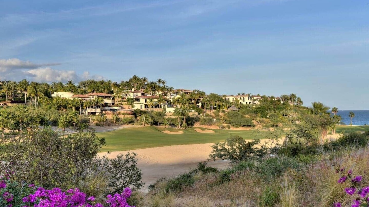Photo of Others in San Jose del Cabo