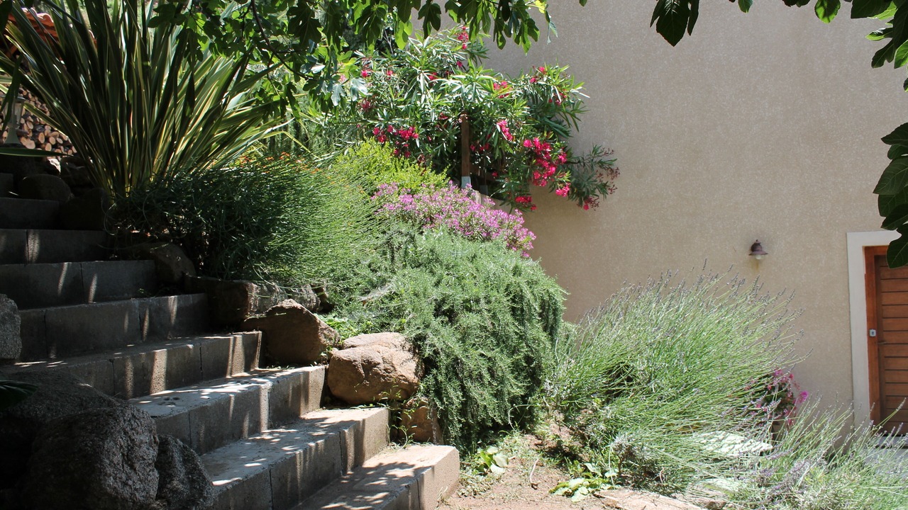 Photo of Outdoor in Sollacaro