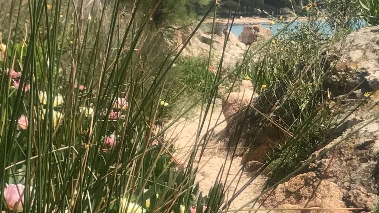Photo of Outdoor in Pinarellu