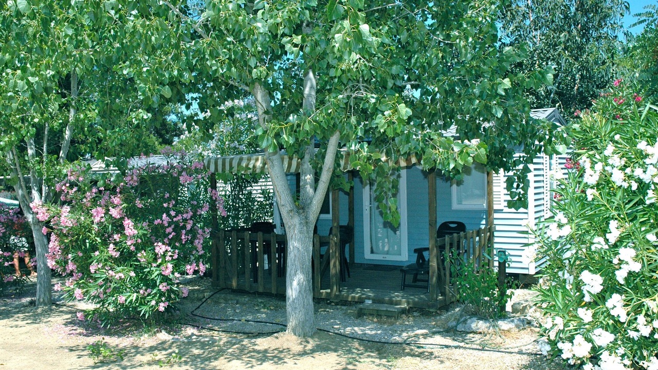 Photo of Outdoor in Algajola
