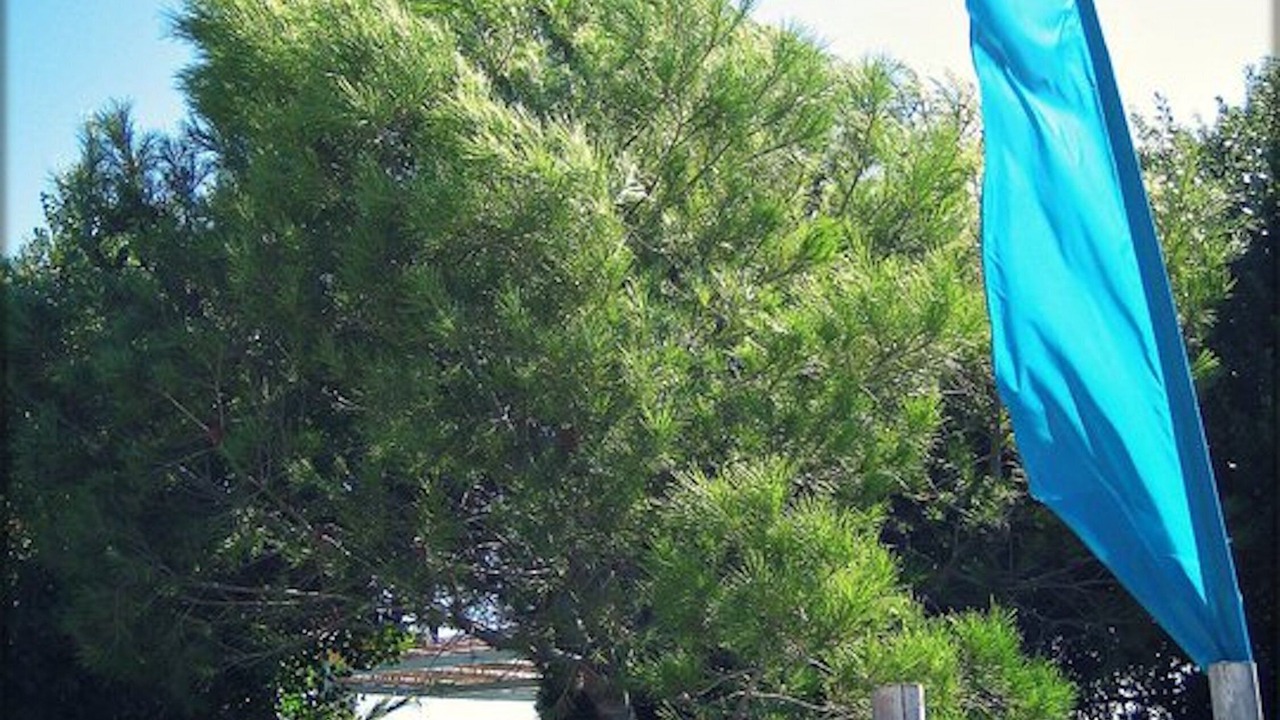Photo of Outdoor in Cirendinu