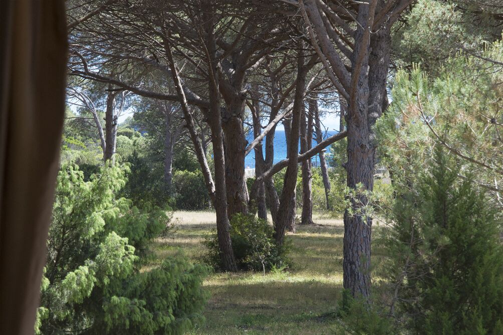 Photo of Outdoor in Hameau de Palombaggia