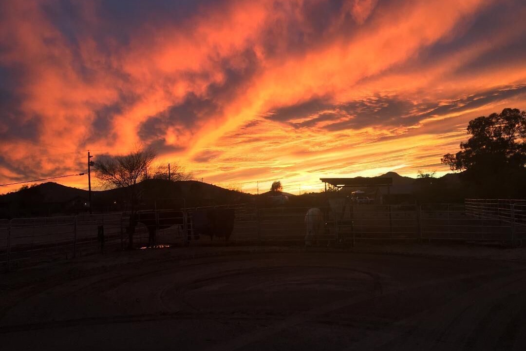 Photo of Outdoor in Anthem