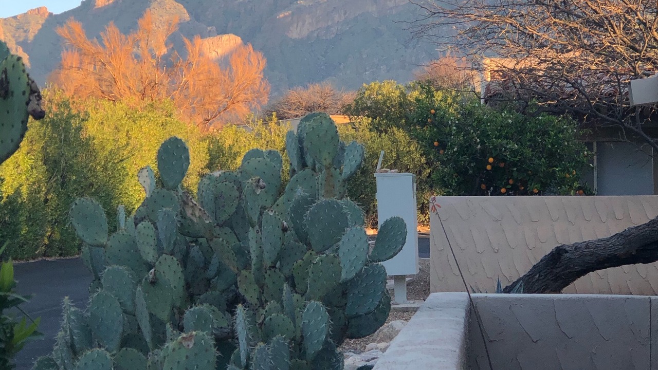 Photo of Outdoor in Tucson
