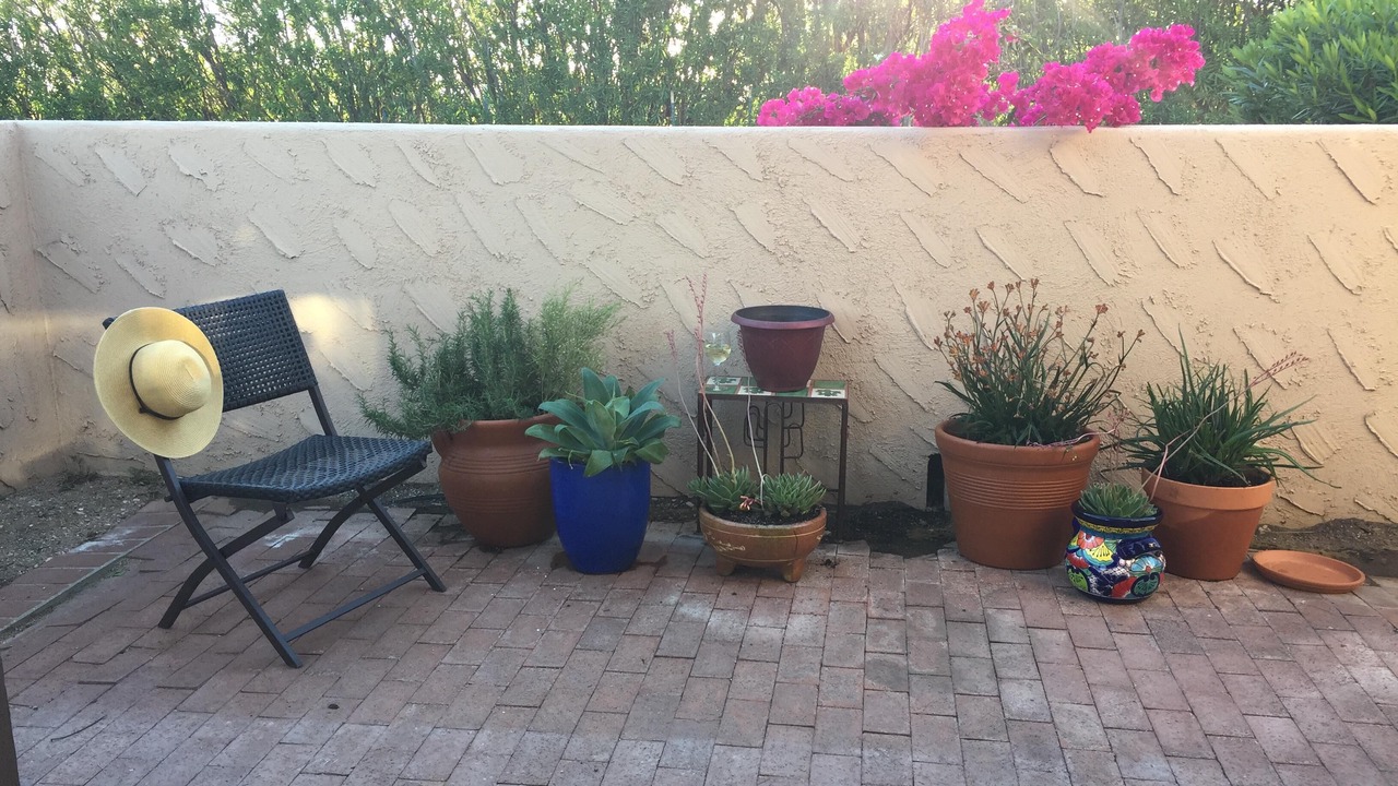 Photo of Others in Tucson