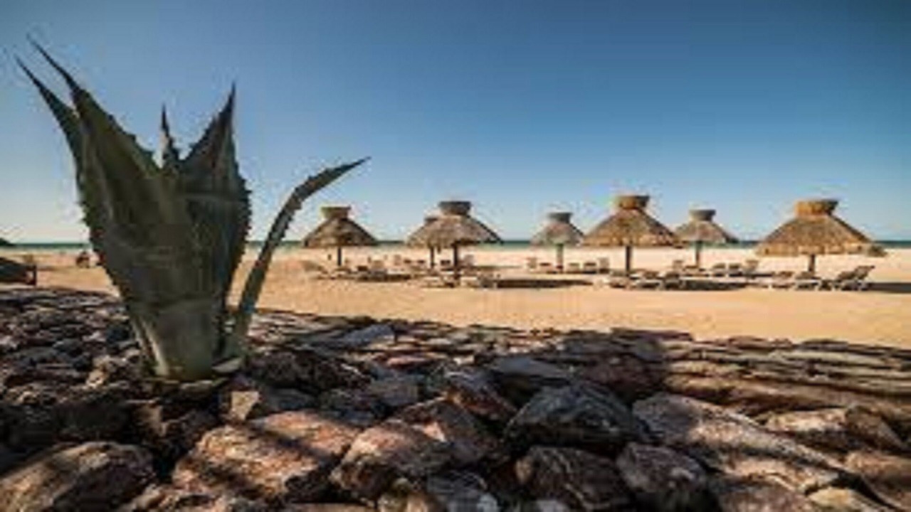 Photo of Others in Puerto Penasco