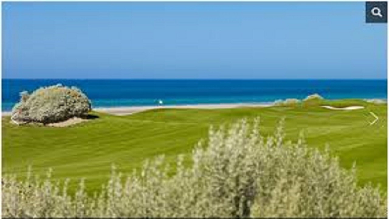 Photo of Others in Puerto Penasco