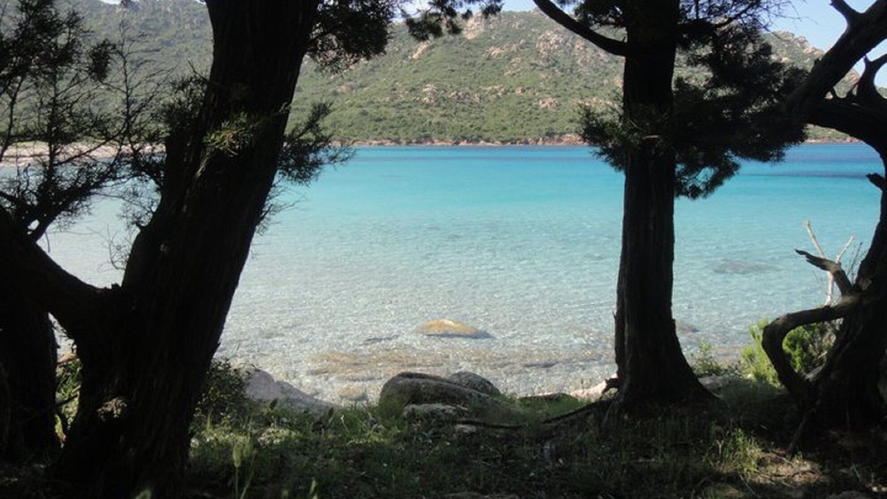 Photo of Others in Porto-Vecchio