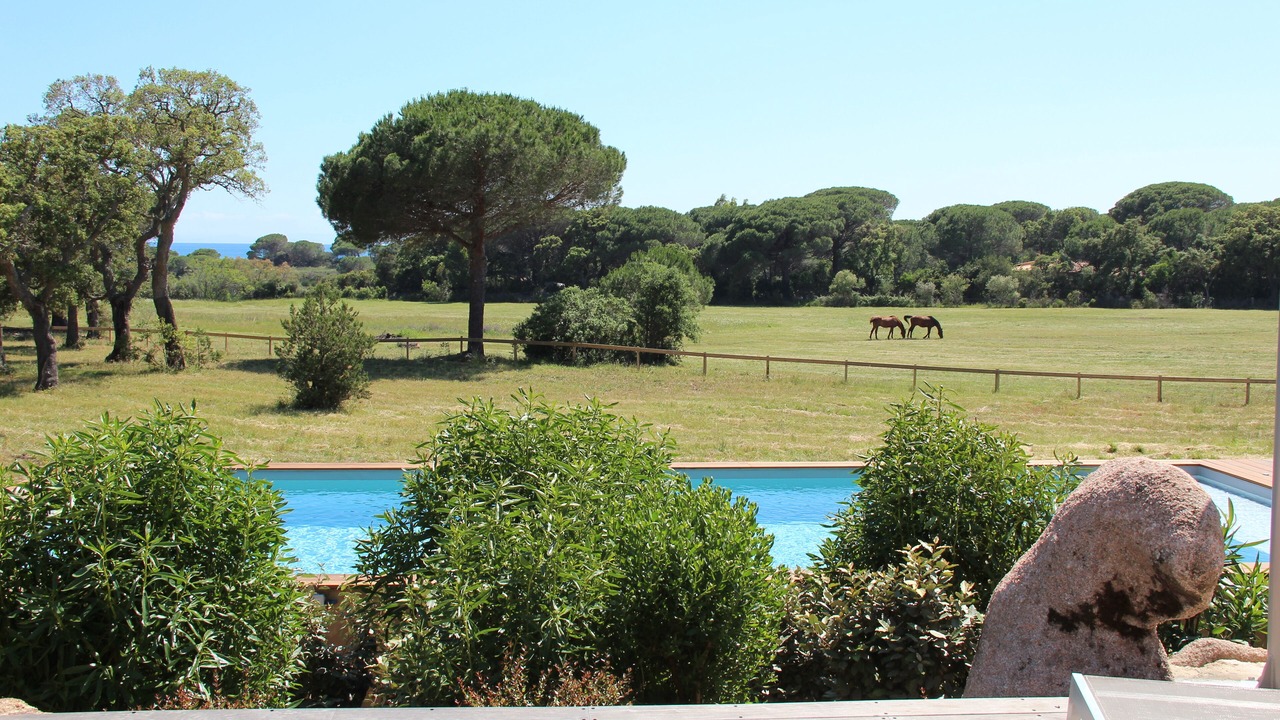 Photo of Outdoor in Hameau de Palombaggia
