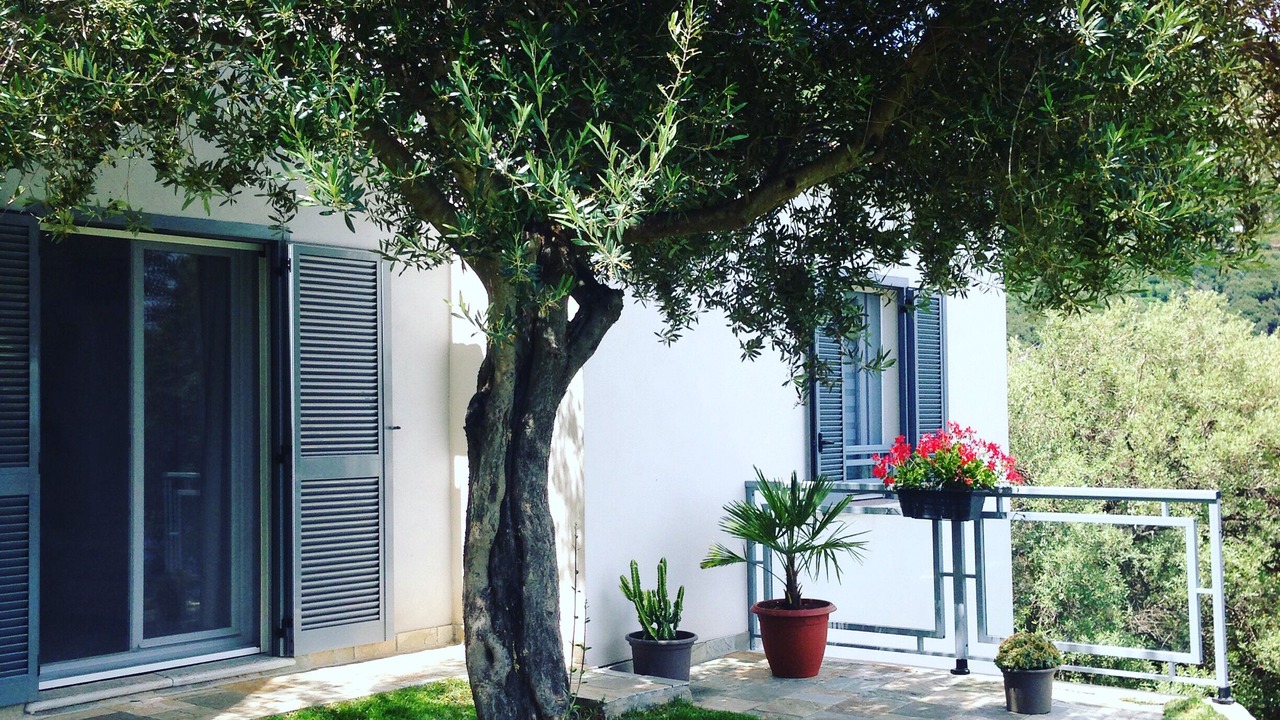 Photo of Outdoor in Brando