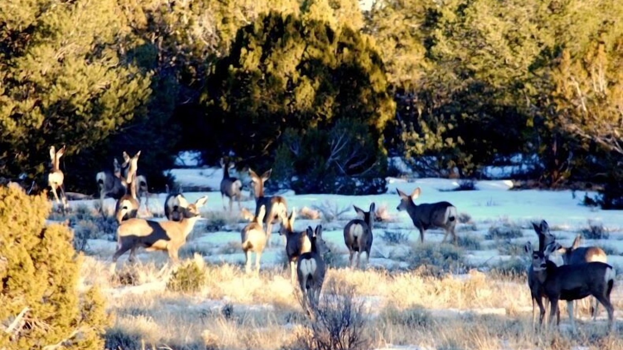 Photo of Others in Valle
