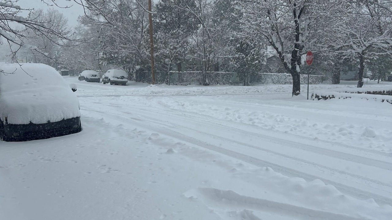 Photo of Outdoor in Williams