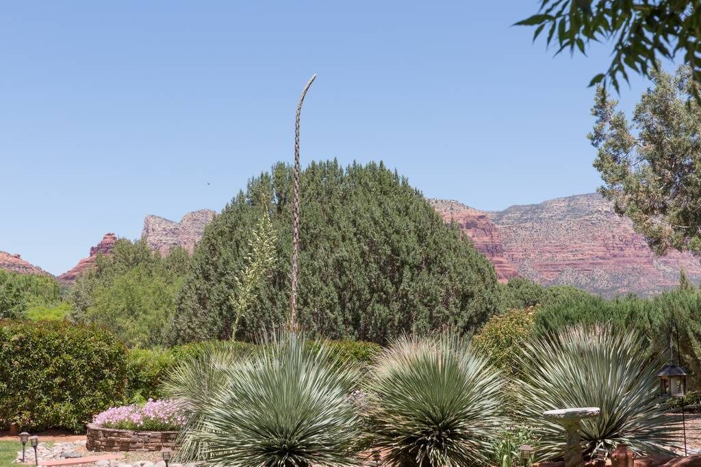 Photo of Outdoor in Oak Creek