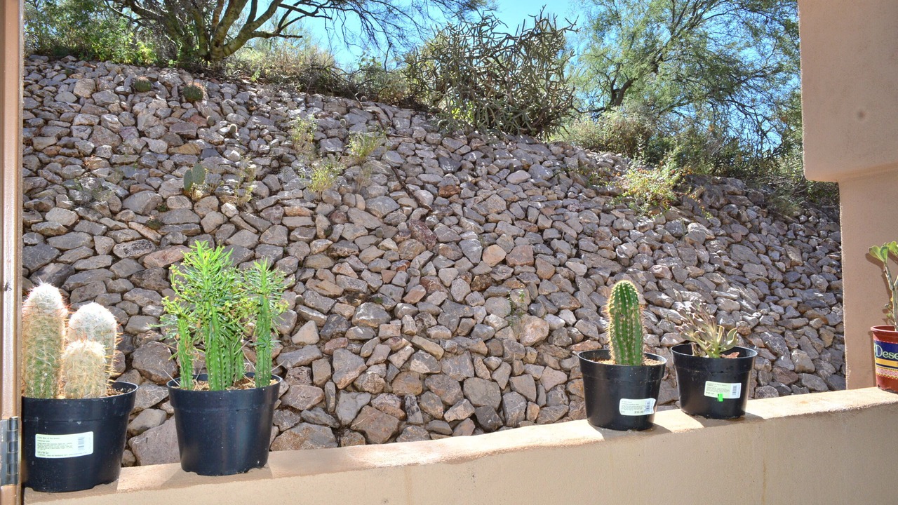Photo of Outdoor in Copper Canyon