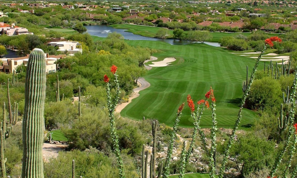Photo of Outdoor in Tucson