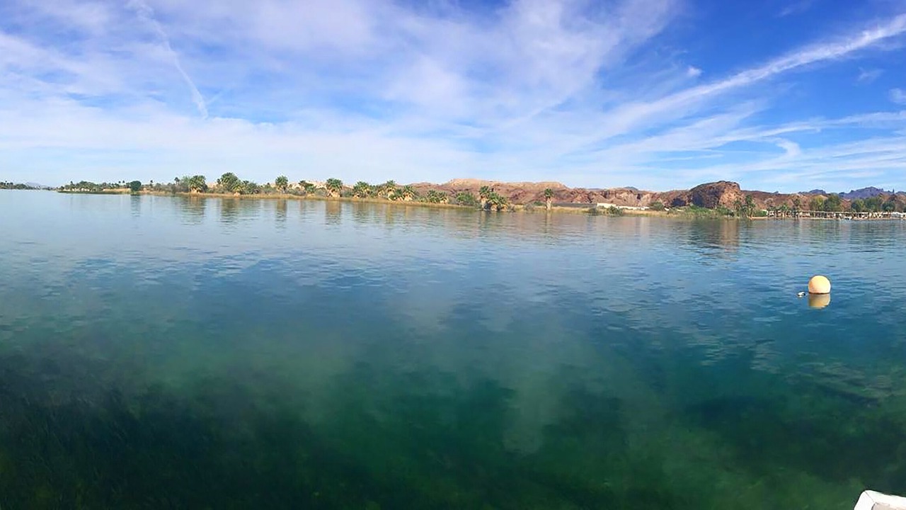 Photo of Others in Cienega Springs