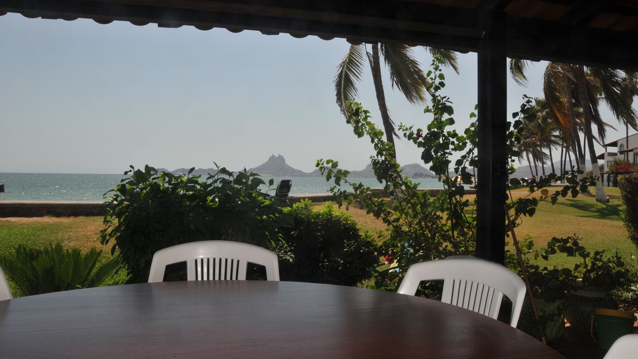 Photo of Outdoor in San Carlos
