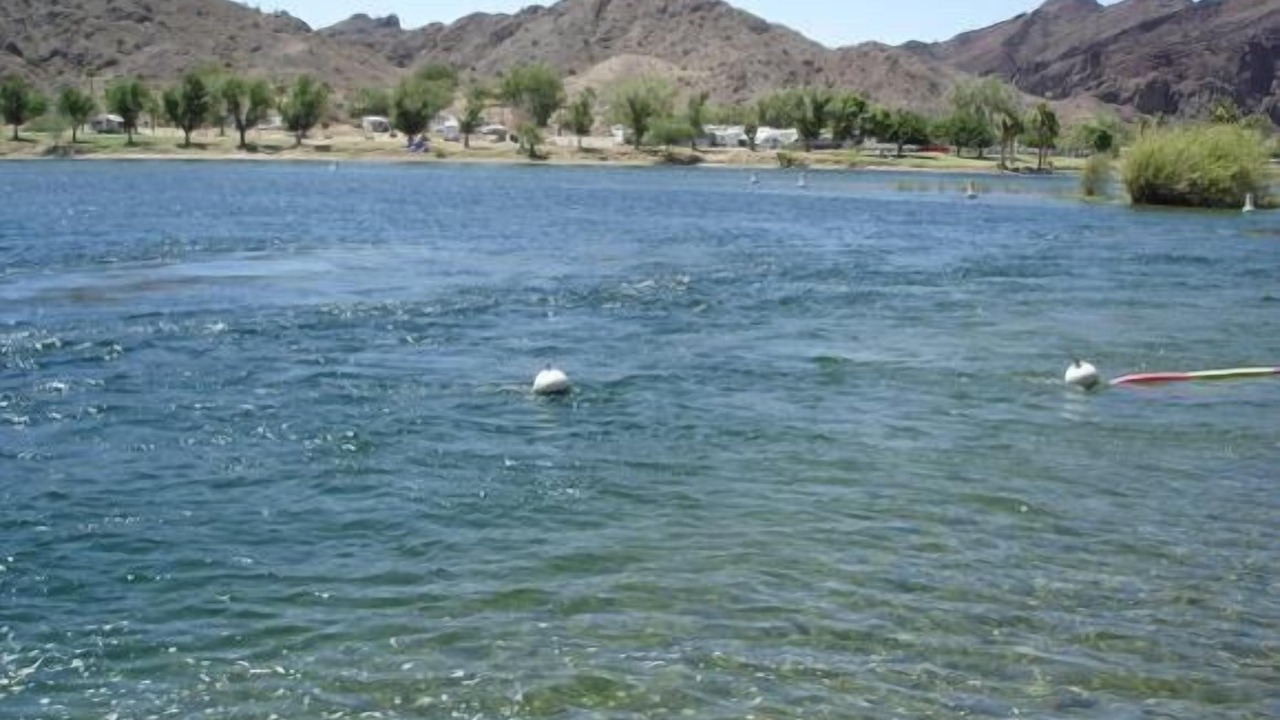Photo of Others in Parker Strip