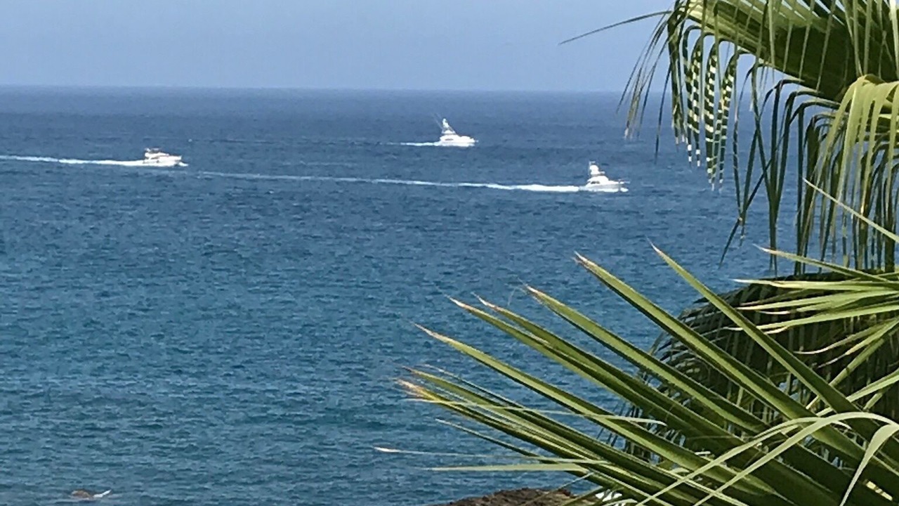 Photo of Others in Cabo Bello