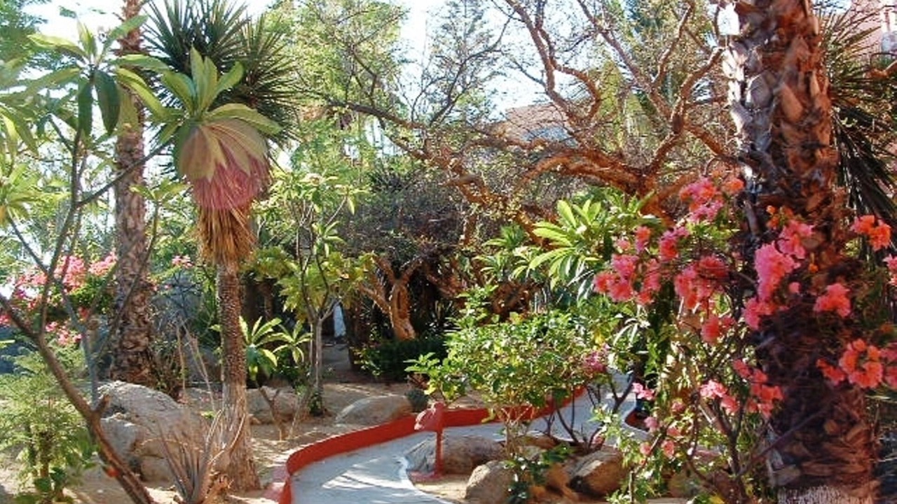 Photo of Others in Cabo Bello