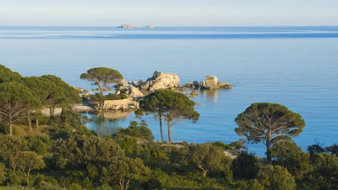 Photo of Others in Hameau de Palombaggia