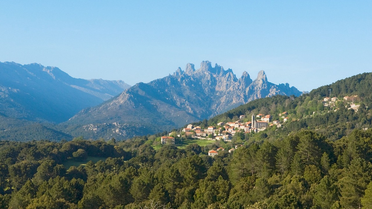 Photo of Outdoor in Hameau de Palombaggia