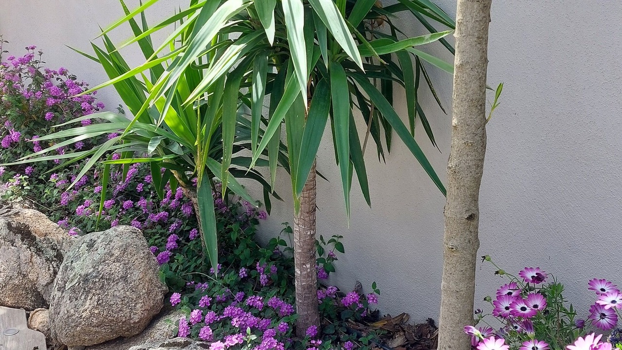Photo of Outdoor in Pinarellu