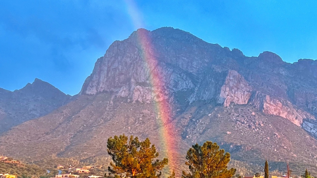 Photo of Others in Oro Valley