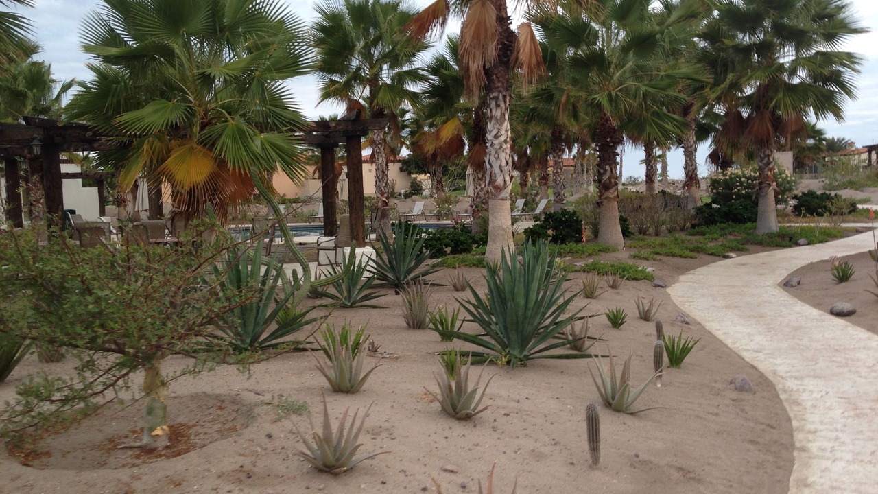 Photo of Outdoor in La Paz