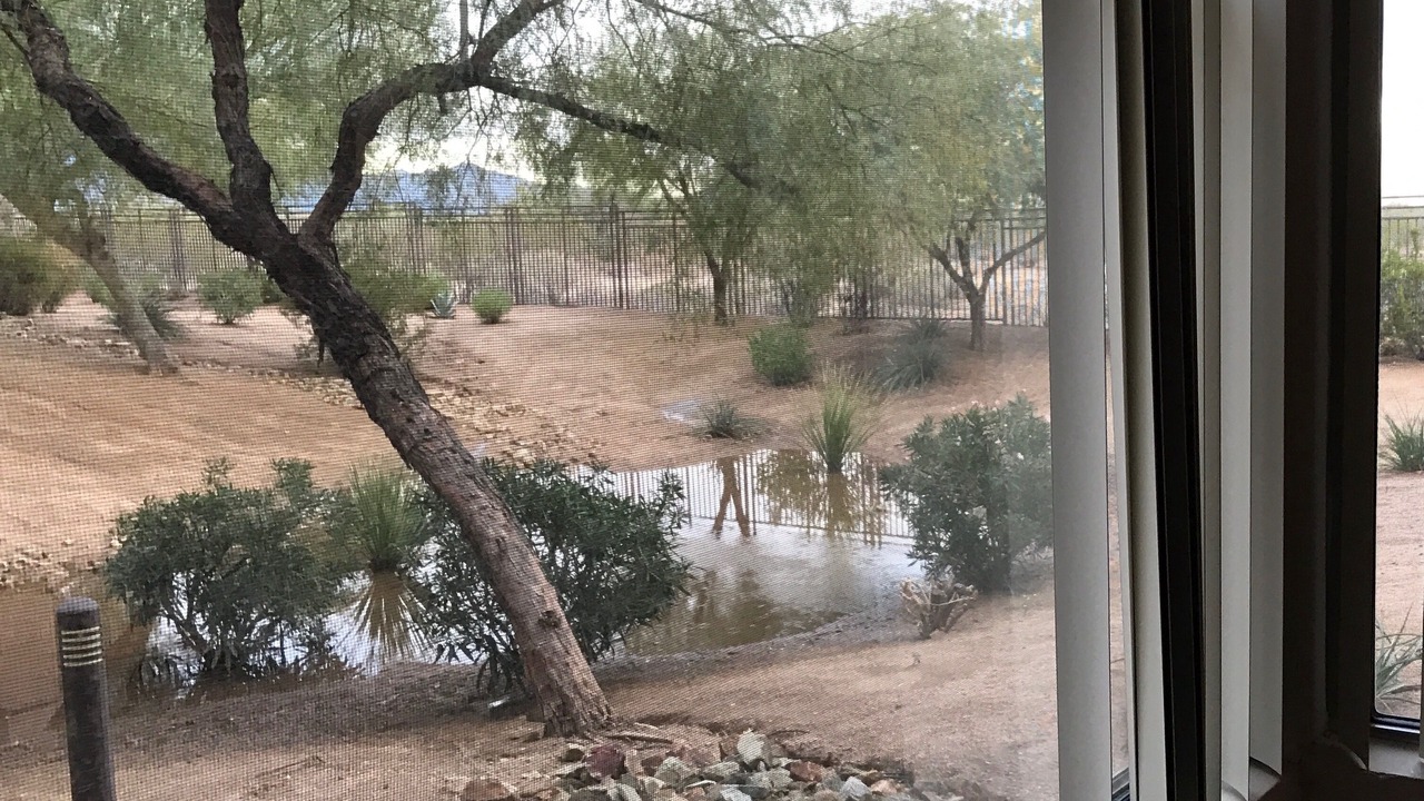 Photo of Others in North Scottsdale