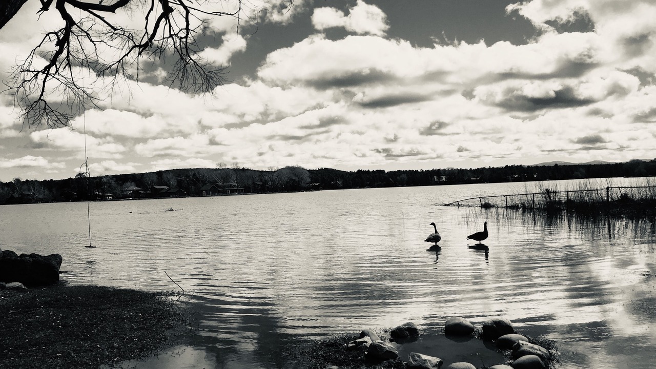 Photo of Others in Pinetop-Lakeside