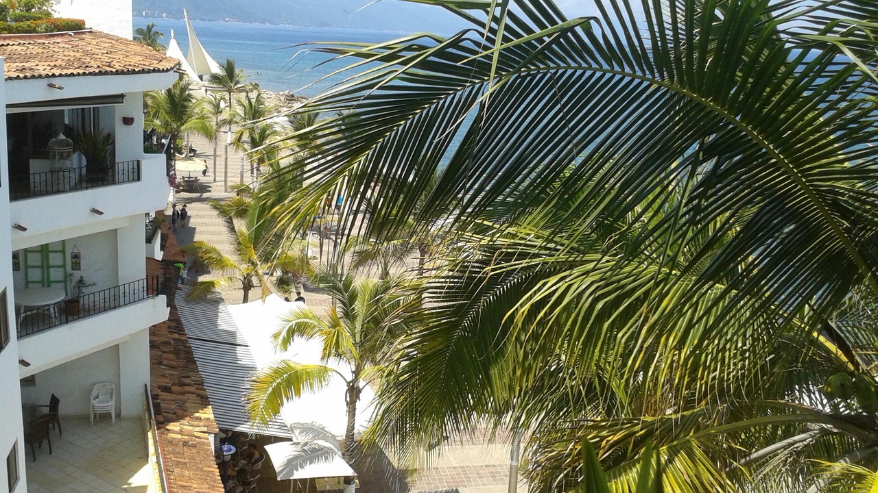Photo of Others in Downtown Puerto Vallarta