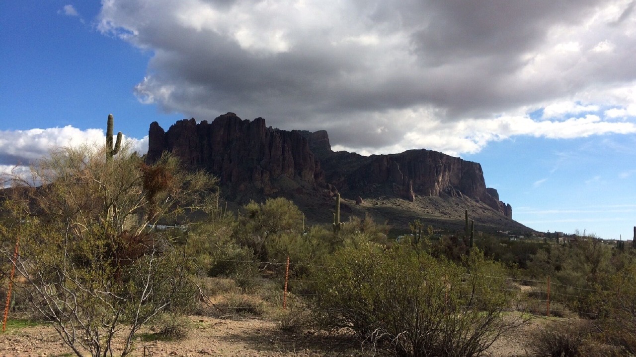 Photo of Others in Paradise Valley Village