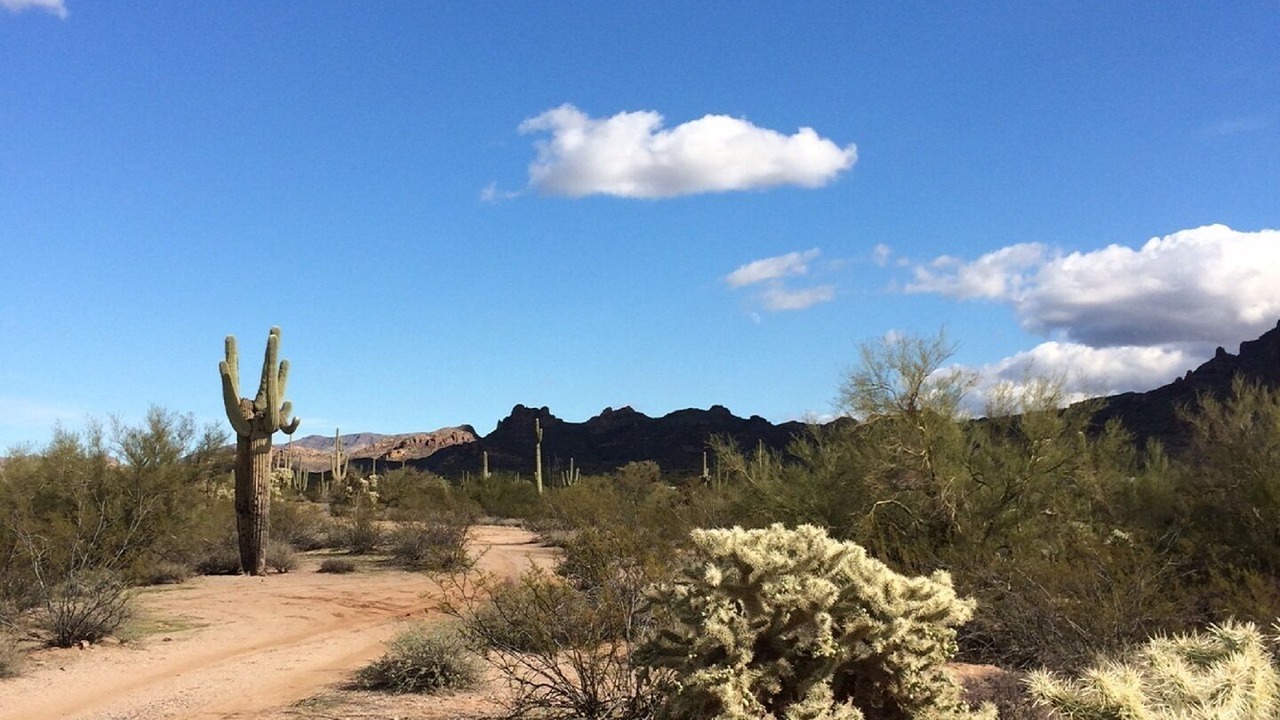 Photo of Others in Paradise Valley Village