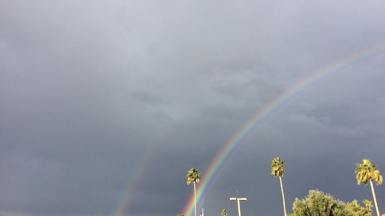 Photo of Others in Paradise Valley Village