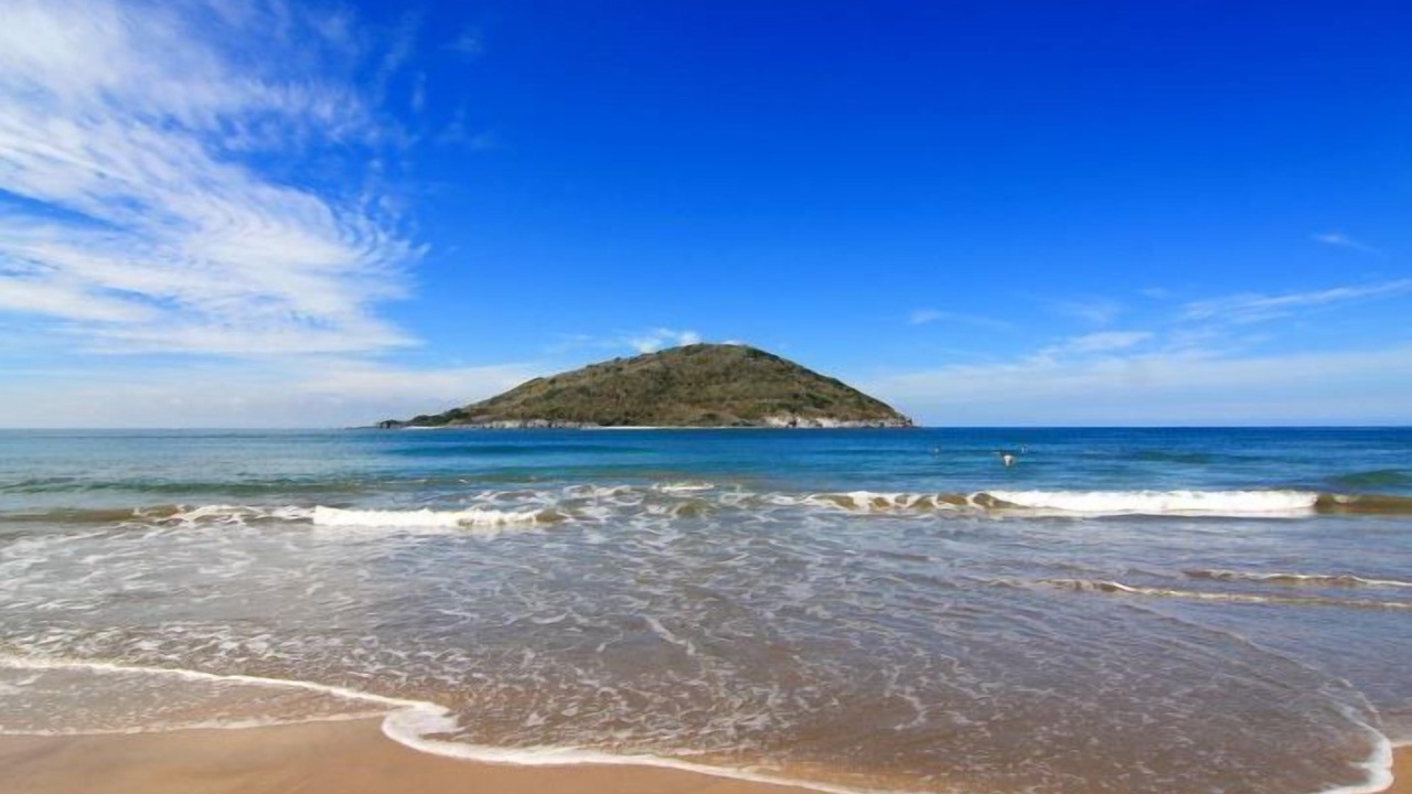 Photo of Others in Downtown Mazatlan