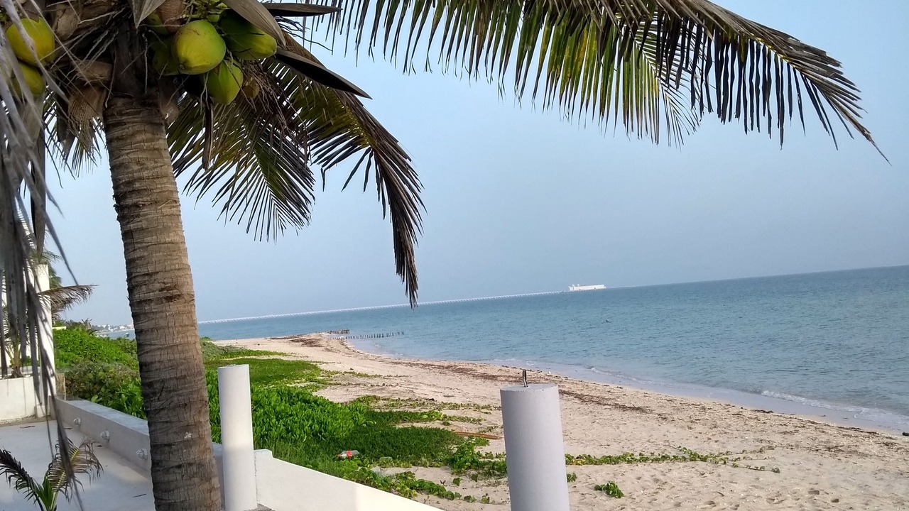 Photo of Others in Chicxulub Puerto