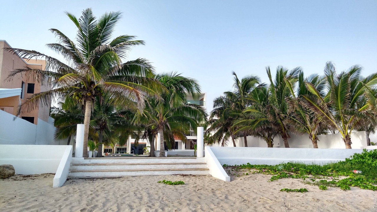 Photo of Outdoor in Chicxulub Puerto